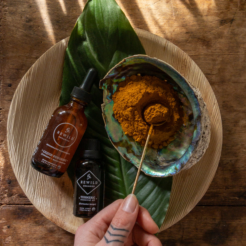 Rewild Organics Regenerative Turmeric Products Rainforest Costa Rica