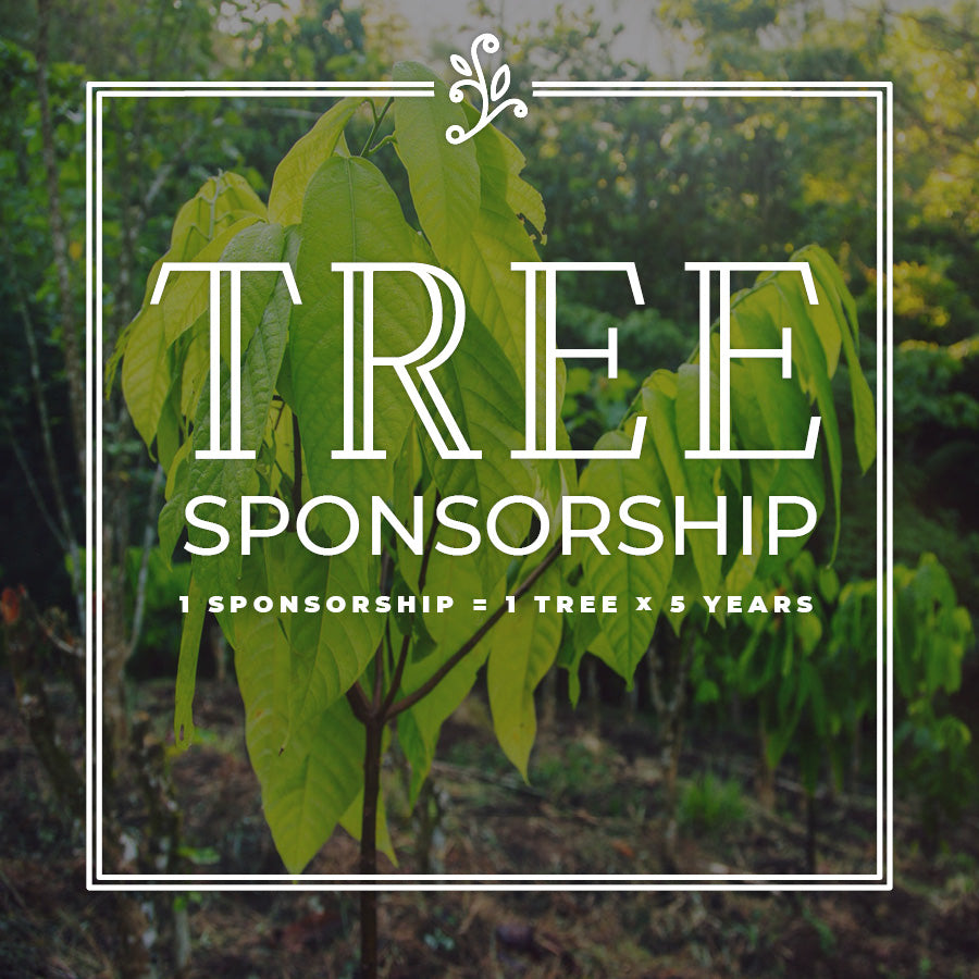 Image of a sapling planted in field in Costa Rica, superimposed over the image are the words: Tree sponsorship, 1 sponsorship = 1 tree x 5 years
